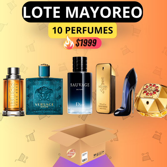 Lote 10 Perfumes Importados 100ml